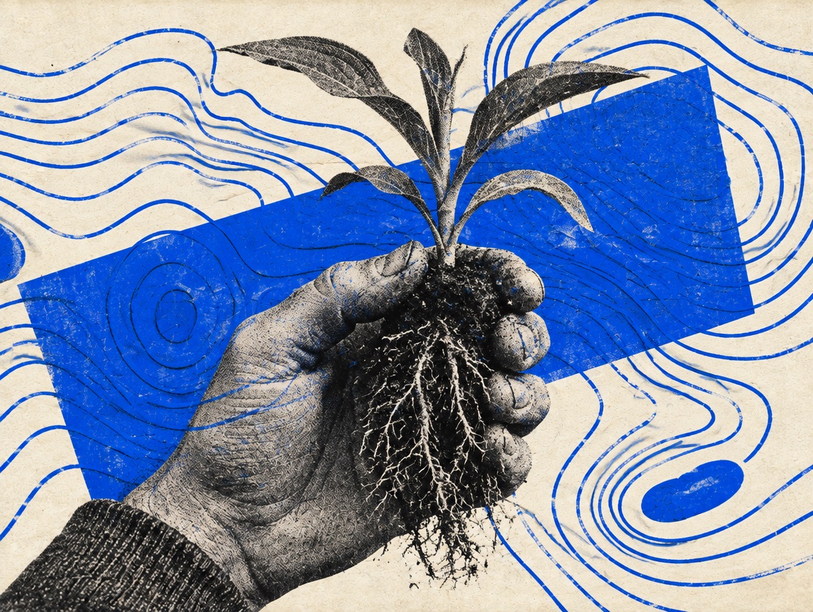 A hand holding a seedling over blue contour lines